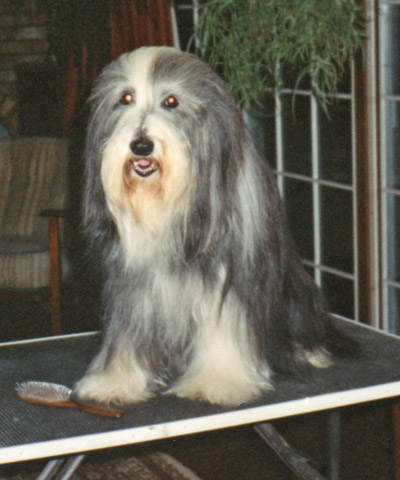 Megan is happy to look 'pretty' after the grooming has finished.