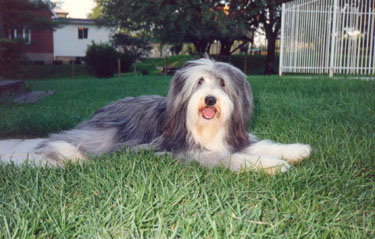 Megan at 2 years in the back garden.