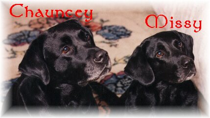 chauncey&missypastb.jpg - 15991 Bytes