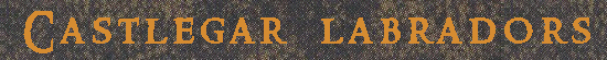 header5.gif - 28925 Bytes