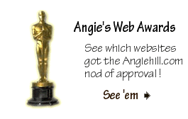 The 1st Annual Angiehill.com Web Awards!