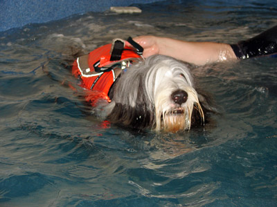 Baillie in the pool having hydrotherapy