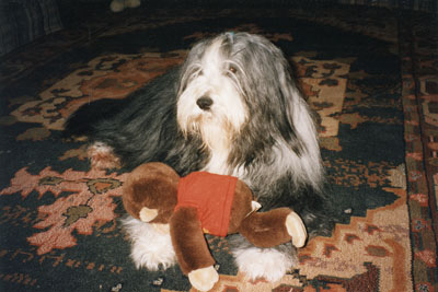 Boomer, along with his Curious Geiorge came back to his birth home in 1995. Here is is lying on the family room carpet
