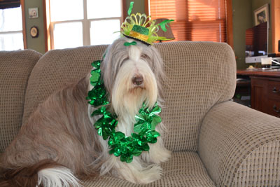 Briana is ready for St. Patrick's day party in her green fascinator and green necklaces
