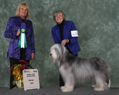 Show photo of Casey winning a Group 3rd.