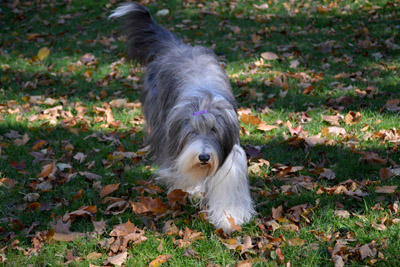 Kyla, outside with leaves on the ground on her 13th birthday
