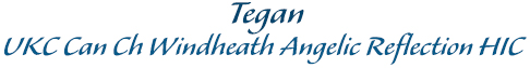 Tegan, UKC, Can Ch. Windheath Angelic Reflection, HIC