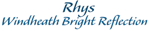 Rhys, Windheath Bright Reflection
