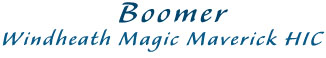 Boomer, Windheath Magic Maverick HIC